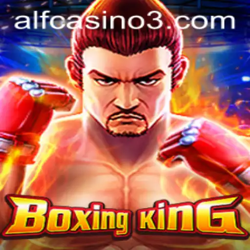 Discover the Thrilling World of BoxingKing